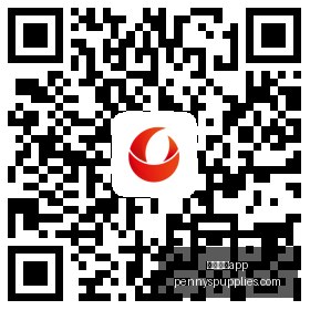股价惊险,连跌面临退,市危机,体育投注app官网,体育投注app下载,体育投注app登录,体育投注app平台